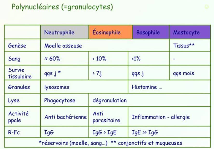 Les différents types cellulaires