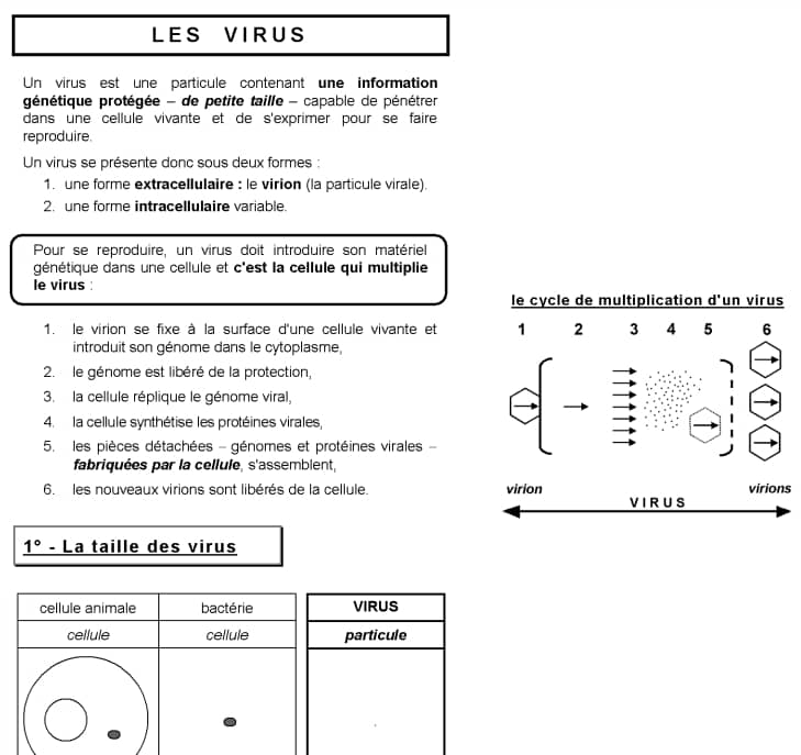 Les virus