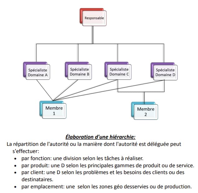 comprendre les bases du management d'organisation