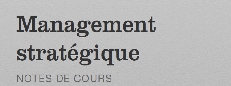 Le management stratégique la solution aux aléas environnementaux