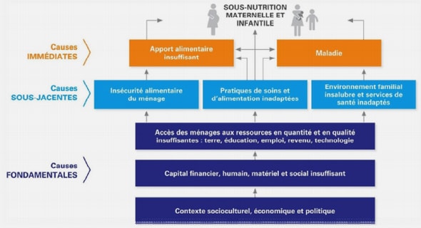 Le management stratégique