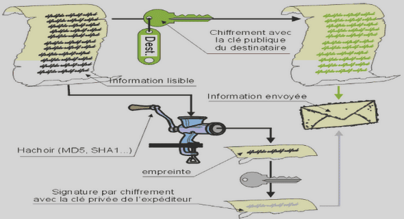 cours svt terminale c